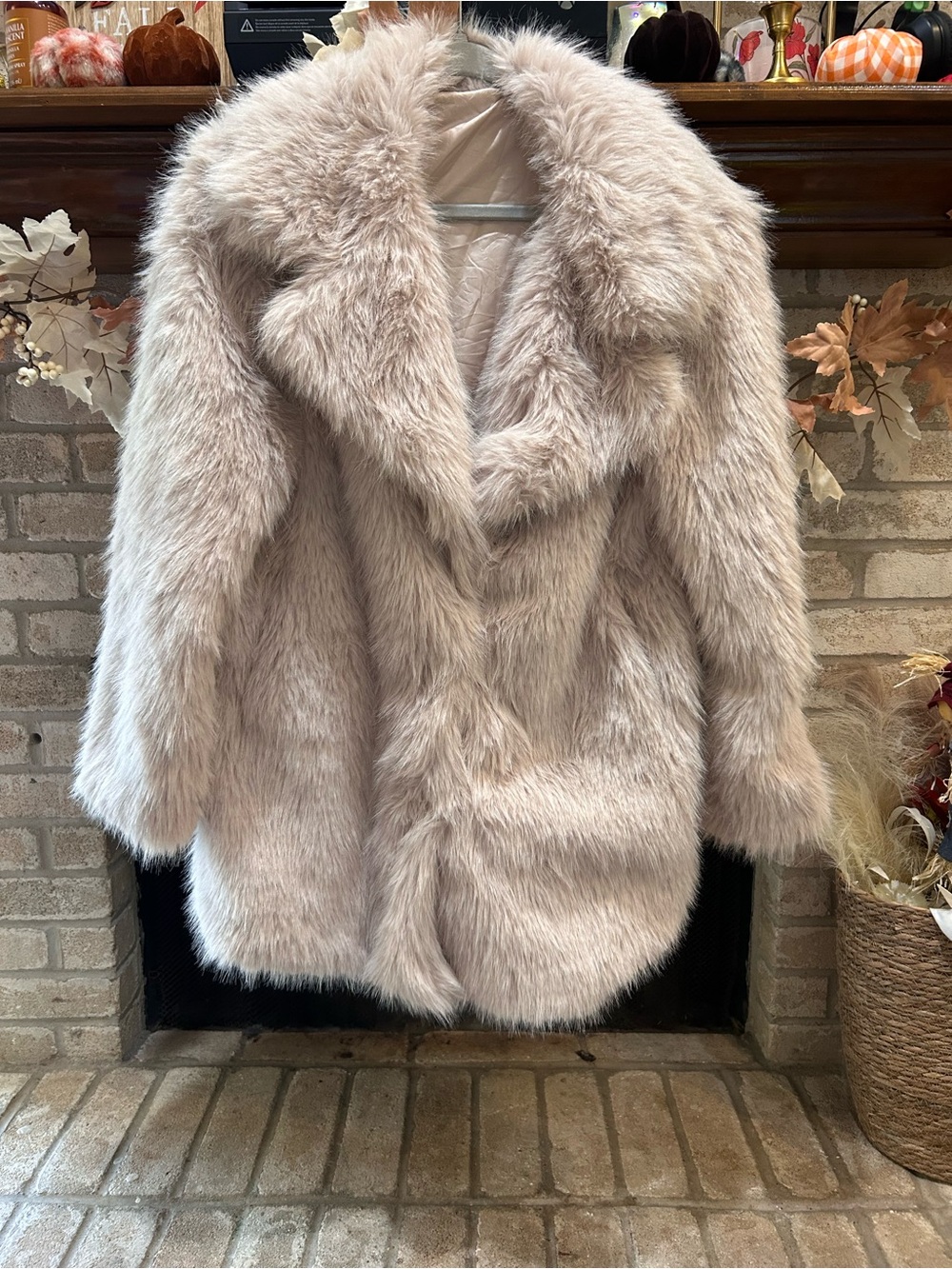 Plush Blush Teddy Jacket for Women EUC